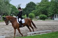 Dressurreiten: Anspannung bei Pferd und Reiterin