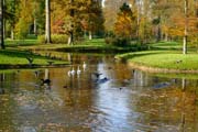 Fulwellpark Umkirch: Typische herbstlich