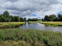 Donau-Ursprung Donaueschingen: Hier bringen Brigach und Breg die junge Donau zuweg.