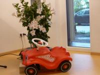 Volker-Homann-Stiftung: Übergabe der KiTa.